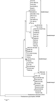 Identification of Four Distinct Phylogenetic Groups in Flavobacterium columnare With Fish Host Associations